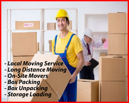 Packers And Movers Noida Sector 140